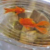 بدون مولد ماهی سه بعدی بزار تو ژله😉