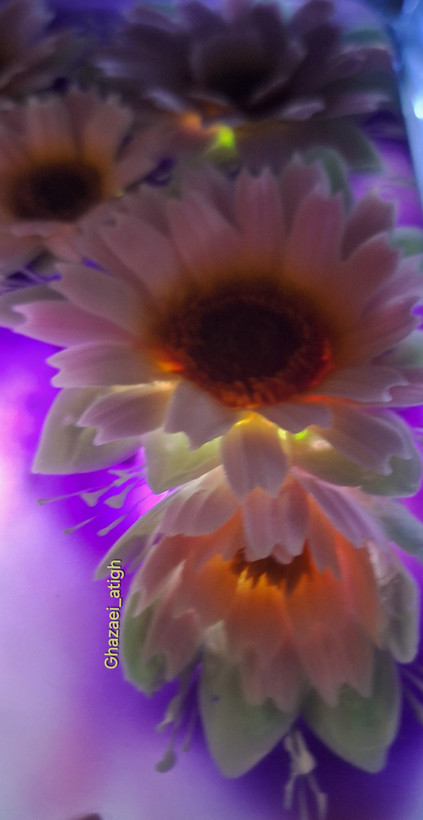 یه نمونه کار با این ابزار